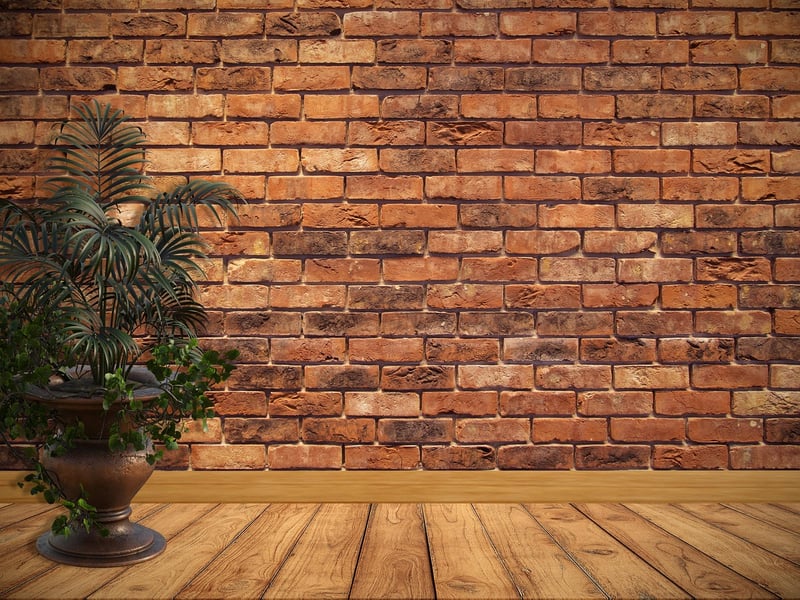 Wall-Mounted Planters
