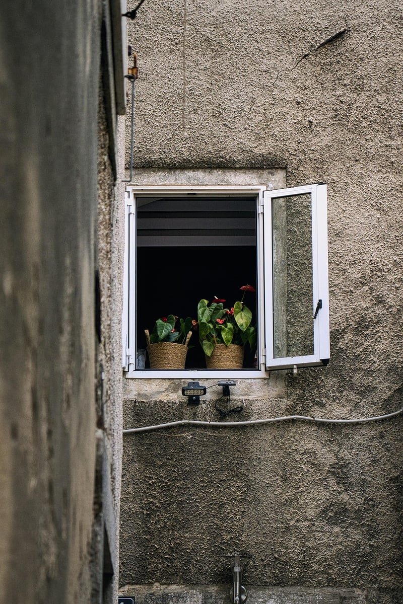 Window Herb Garden Kit